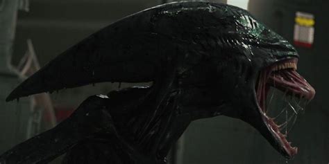 prometheus aliens biology.